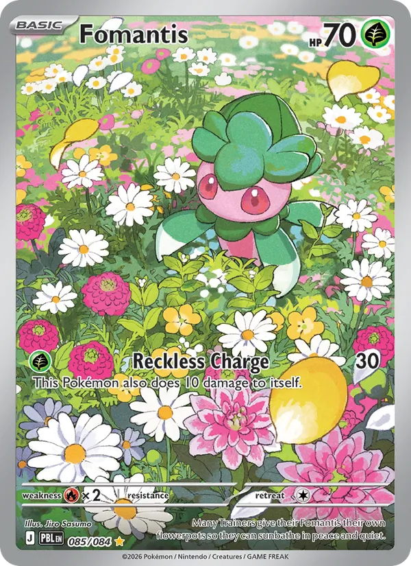Fomantis (PBL 085/84)