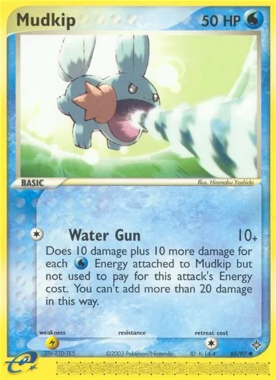 Mudkip (Dragon 65)