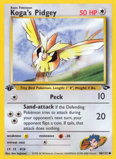 Koga's Pidgey (Gym Challenge 80)