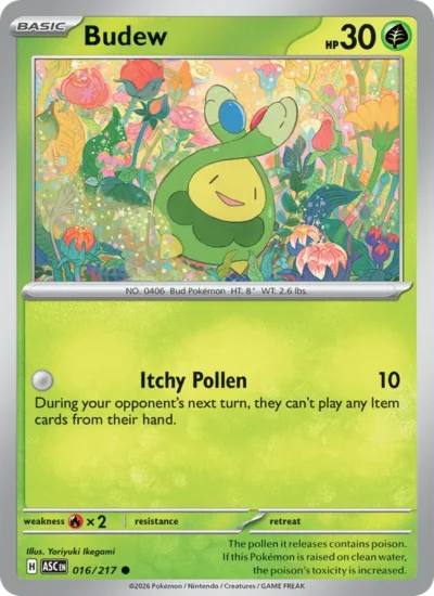 Budew (Ascended Heroes 016)