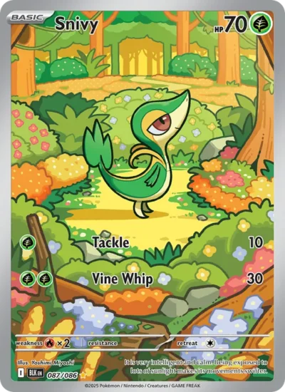 Snivy (Black Bolt 087)