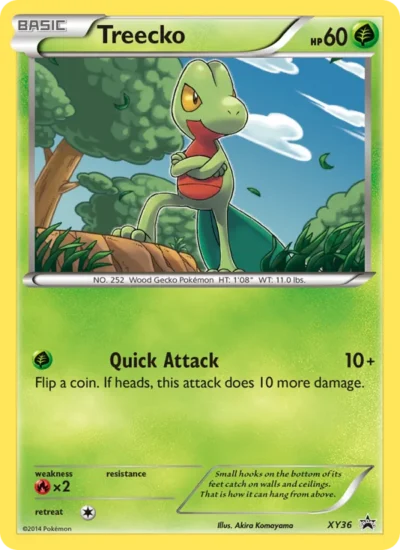 Treecko (XY Black Star Promos XY36)