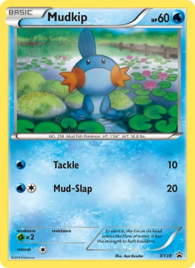 Mudkip (XY Black Star Promos XY38)